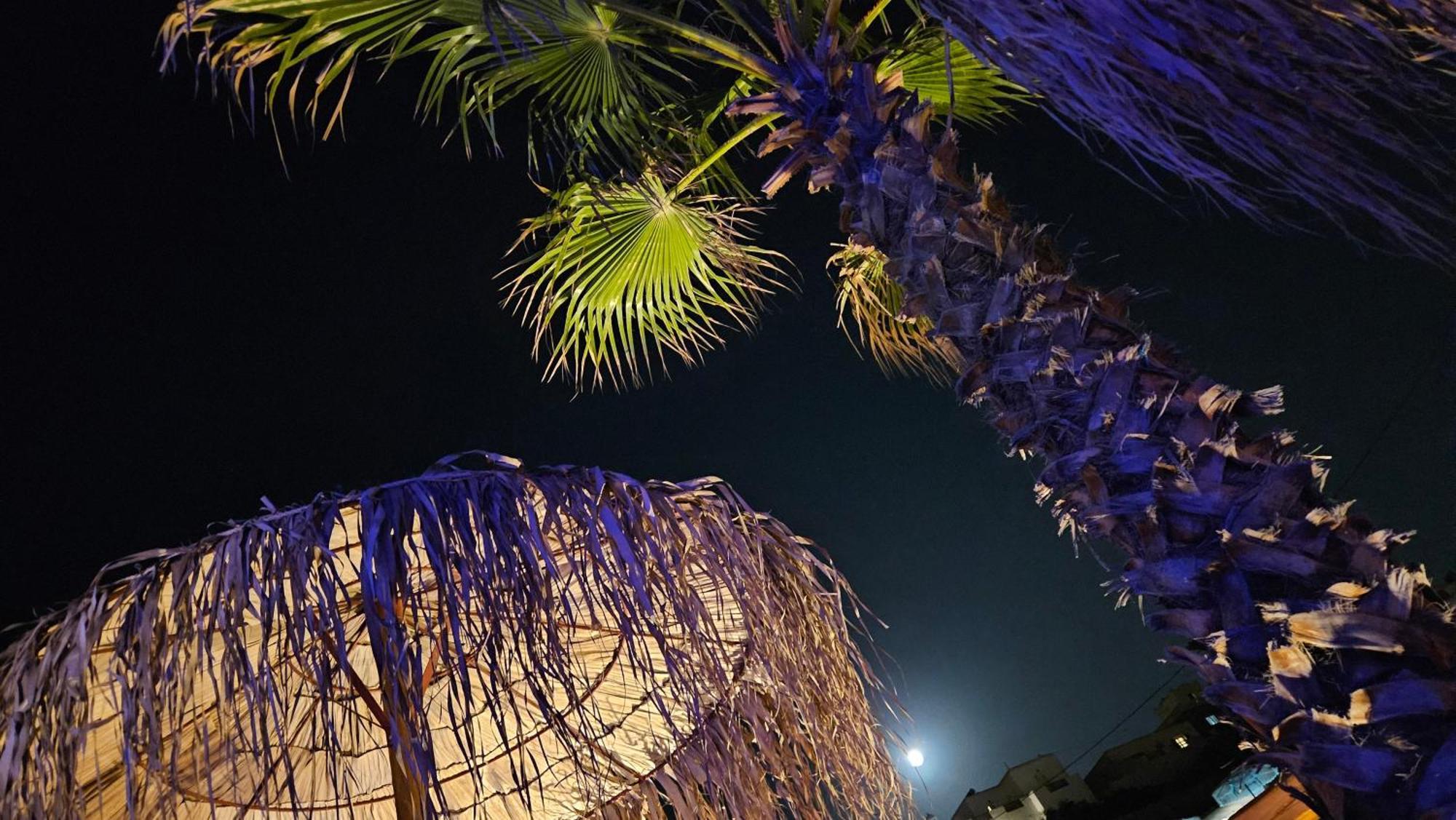 Elli Tropical Suites Mykonos Town Esterno foto