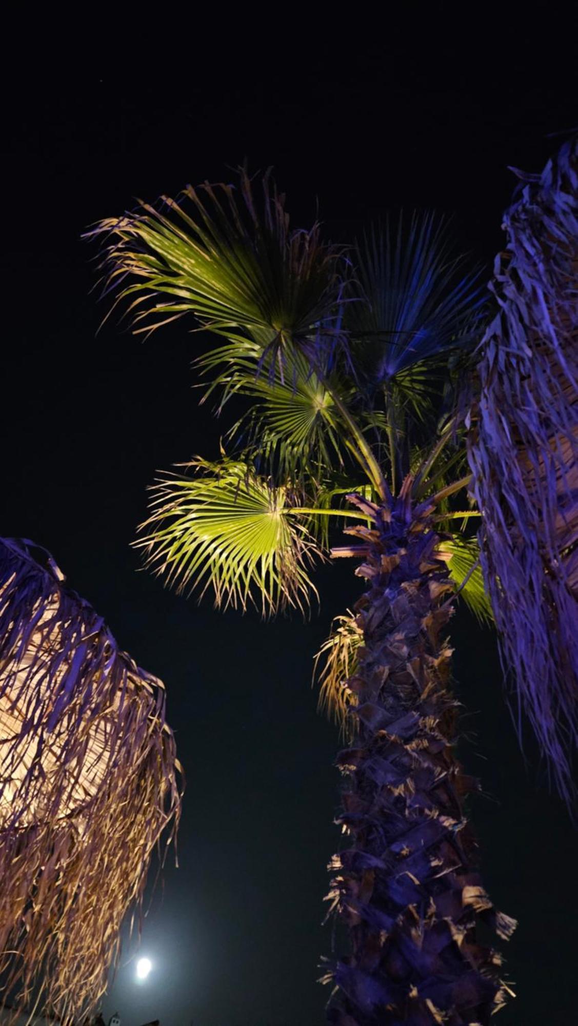 Elli Tropical Suites Mykonos Town Esterno foto