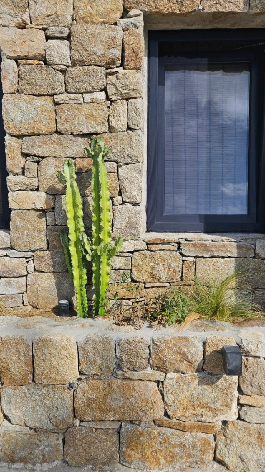 Elli Tropical Suites Mykonos Town Esterno foto